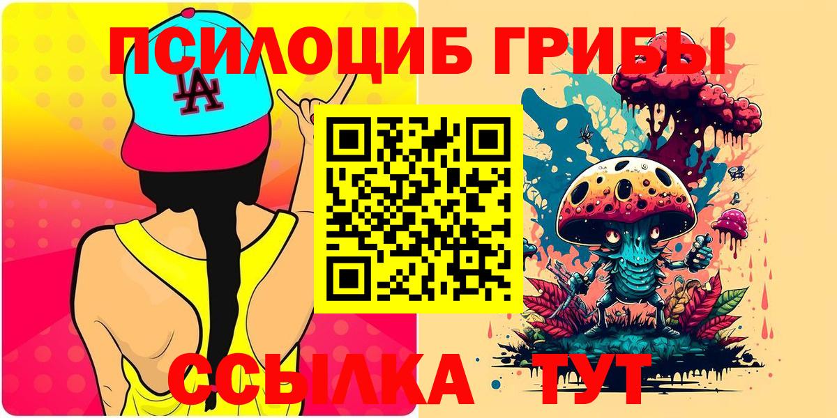 Миасс  Псилоцибиновые грибы Psilocybine cubensis  Вход с VPN 