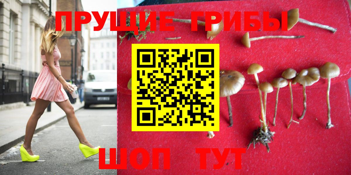 Галлюциногенные грибы Psilocybe Миасс